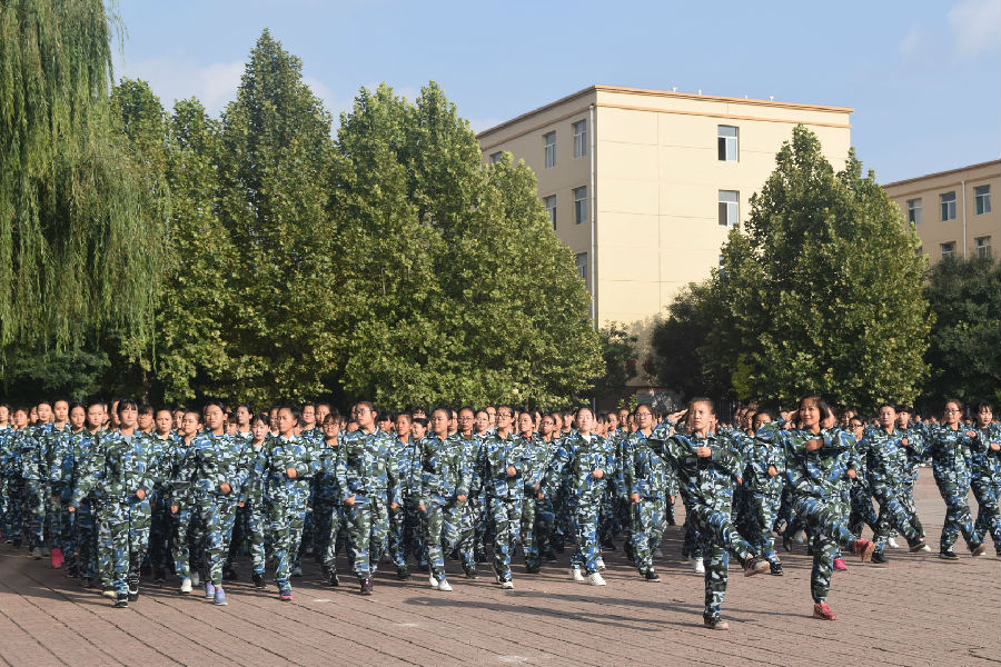 ɽְҵѧԺĿרҵ_ɽְͬҵѧԺ_ɽְҵѧԺĻϵ